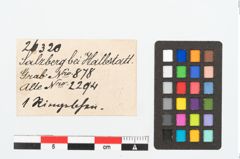 Etikett zu Bronzering (NHMW-PRAE-026320)